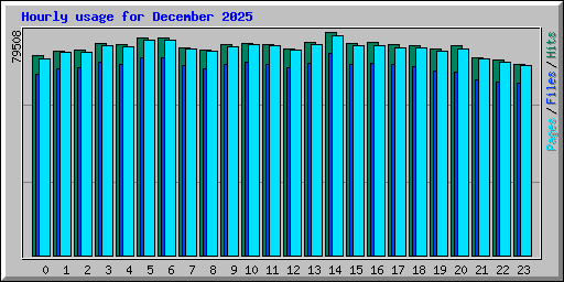 Hourly usage for December 2025